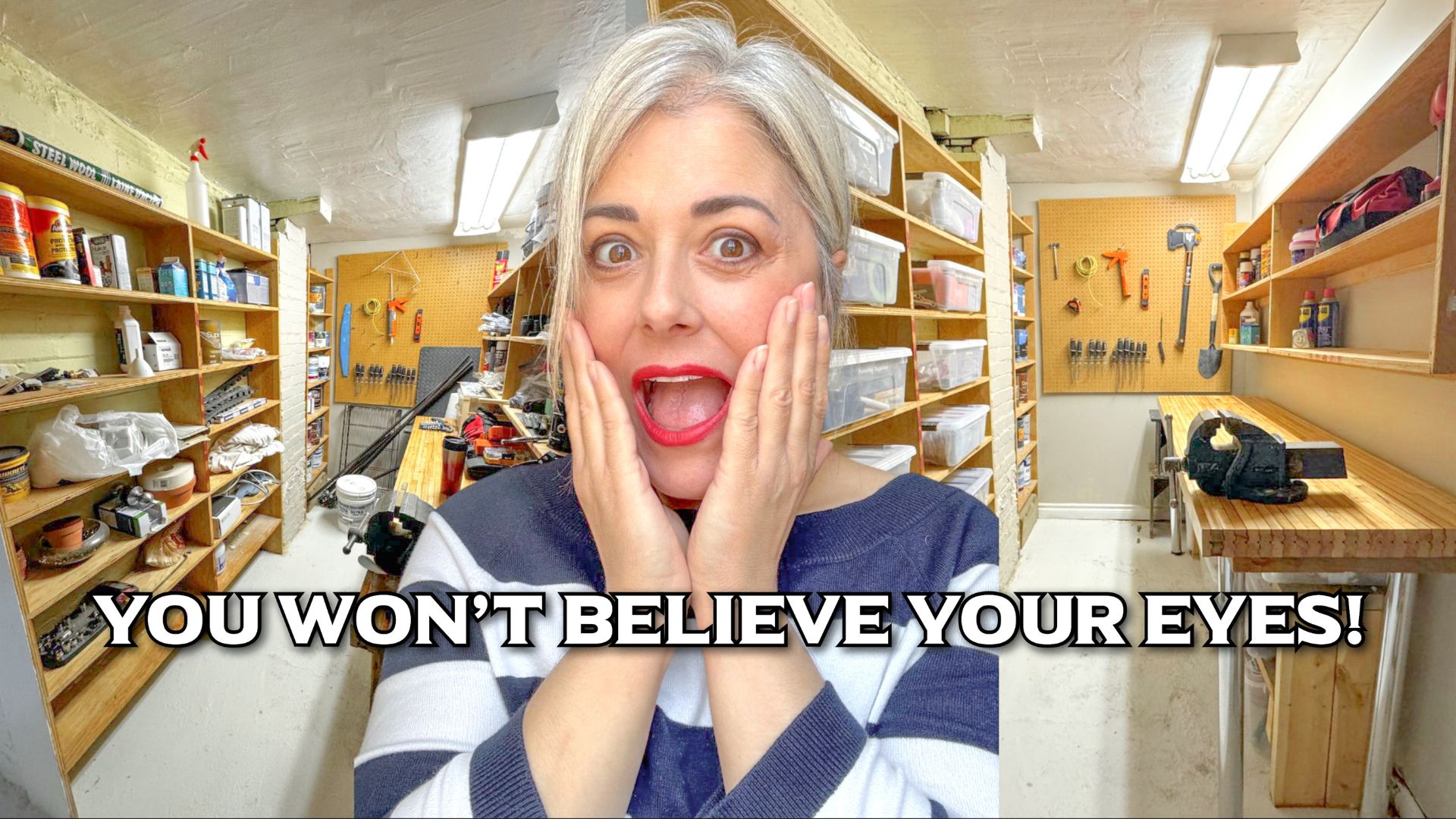 You Won't Believe Your Eyes when you see this Basement Organization Reveal!